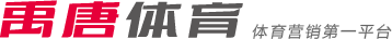 齊達內的下